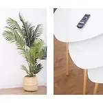 Ocean Front Oasis 別荘 *