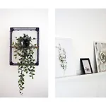 別荘 Ocean Front Oasis *